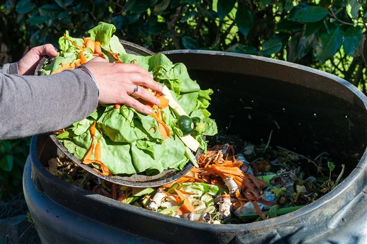 Déchets biodégradables : dans l'Aube comme en France, il va falloir faire  avec le bac à compost. Explications